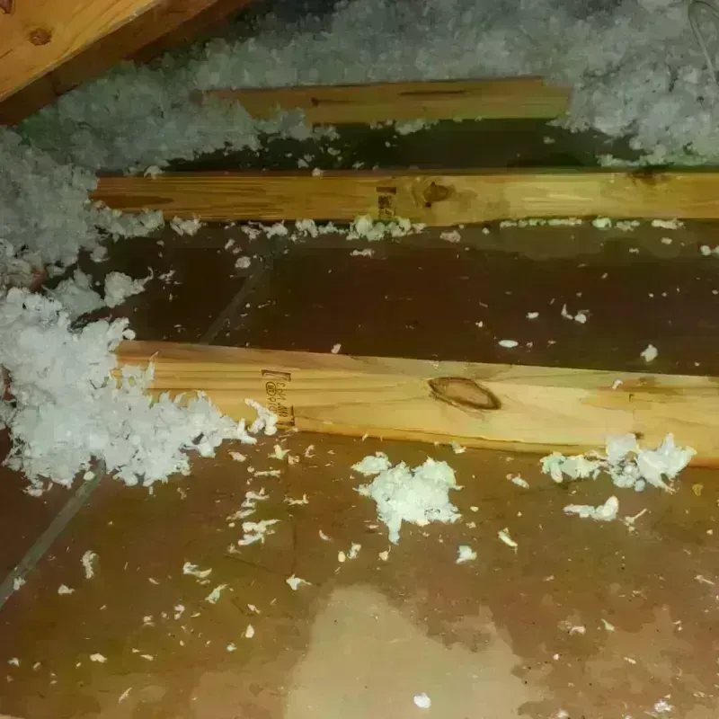 Attic Water Damage in Larue County, KY